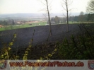 12.04.2005 Flächenbrand in Vorderfischen 