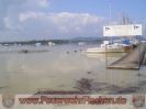 24.08.2005 am Ammersee_4