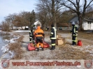 04.02.2012 Tierrettung Ammersee