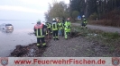 29.04.2017 PKW in Ammersee_8