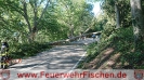 26.08.2020 Baum über WM7