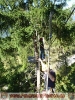 24.09.2011 Jugendausflug