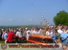 01.05.2009 Maibaumaufstellen