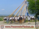 01.05.2009 Maibaumaufstellen