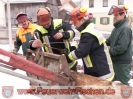06.03. und 13.03.2010 Motorsägenkurs