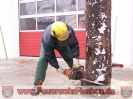 06.03. und 13.03.2010 Motorsägenkurs