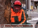 06.03. und 13.03.2010 Motorsägenkurs