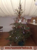 09.01.2010 Christbaumversteigerung 