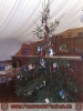 09.01.2010 Christbaumversteigerung 