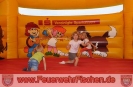 14.08.2011 Fahrzeugweihe LF 10/6