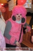 09.02.2013 Faschingsball Fischen