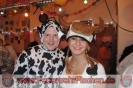 09.02.2013 Faschingsball Fischen