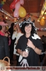 09.02.2013 Faschingsball Fischen