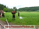 Veranstaltungen