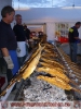 15.08.2014 Feuerwehrgrillfest_15