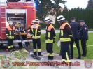 2014 Leistungsabzeichen_24
