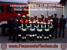 2014 Leistungsabzeichen_28