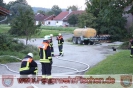 2014 Leistungsabzeichen_48